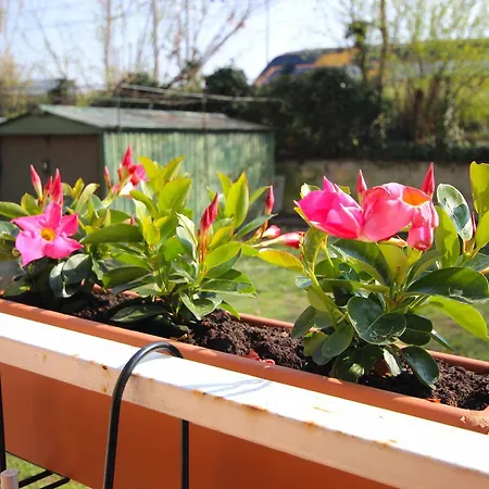 Vr - La Maison Du Coq شقة *