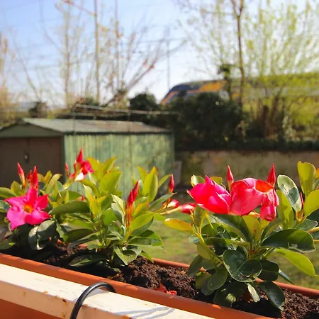 Vr - La Maison Du Coq