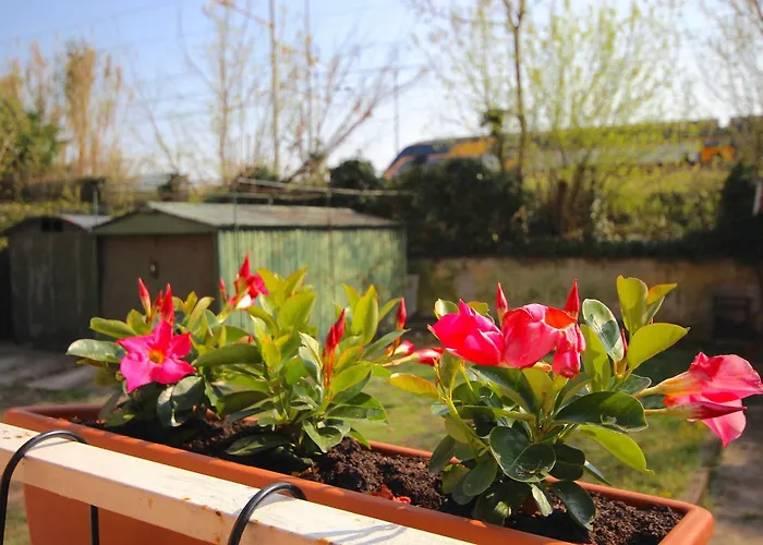 Vr - La Maison Du Coq